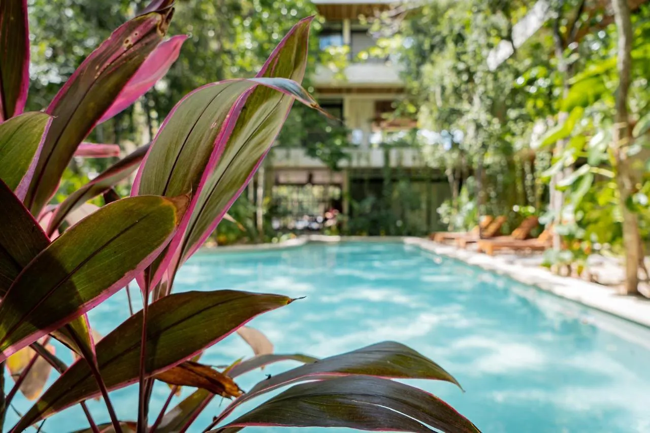 Apartmán Casai - Bohemian Eco-Loft In La Veleta, Tulum - 2 Pools, Gym 0*,  Mexiko