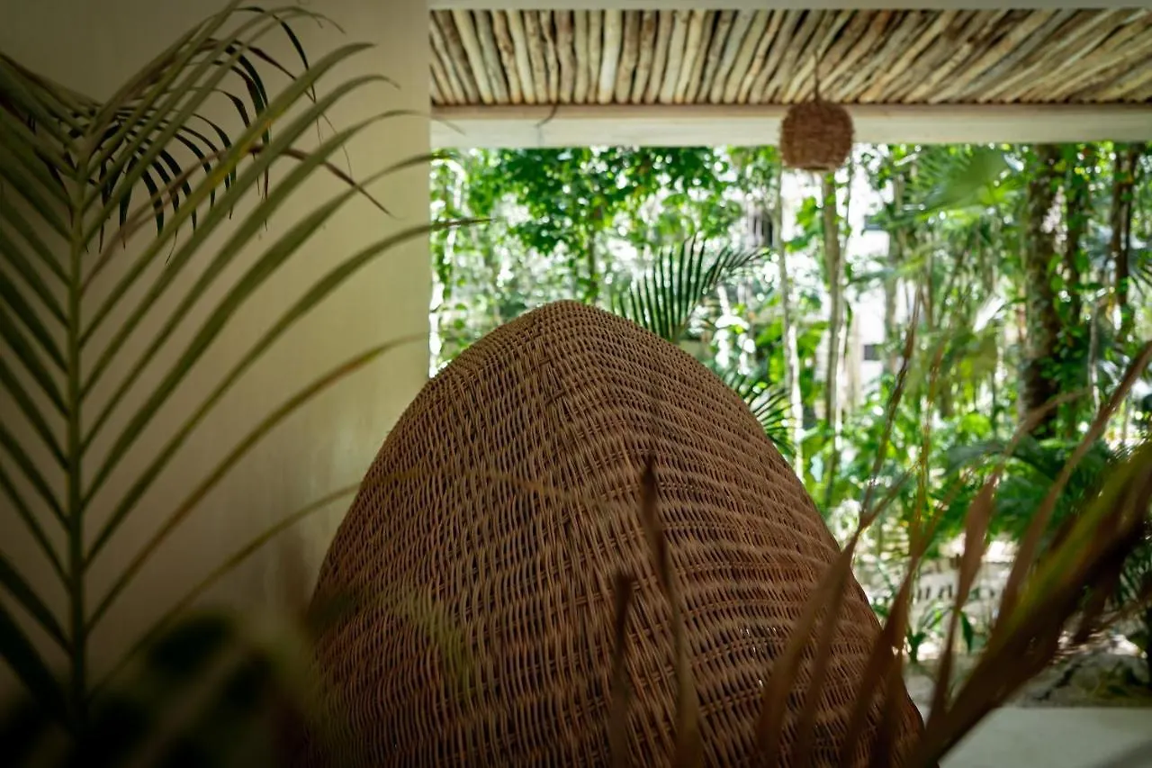 Apartmán Casai - Bohemian Eco-Loft In La Veleta, Tulum - 2 Pools, Gym Mexiko