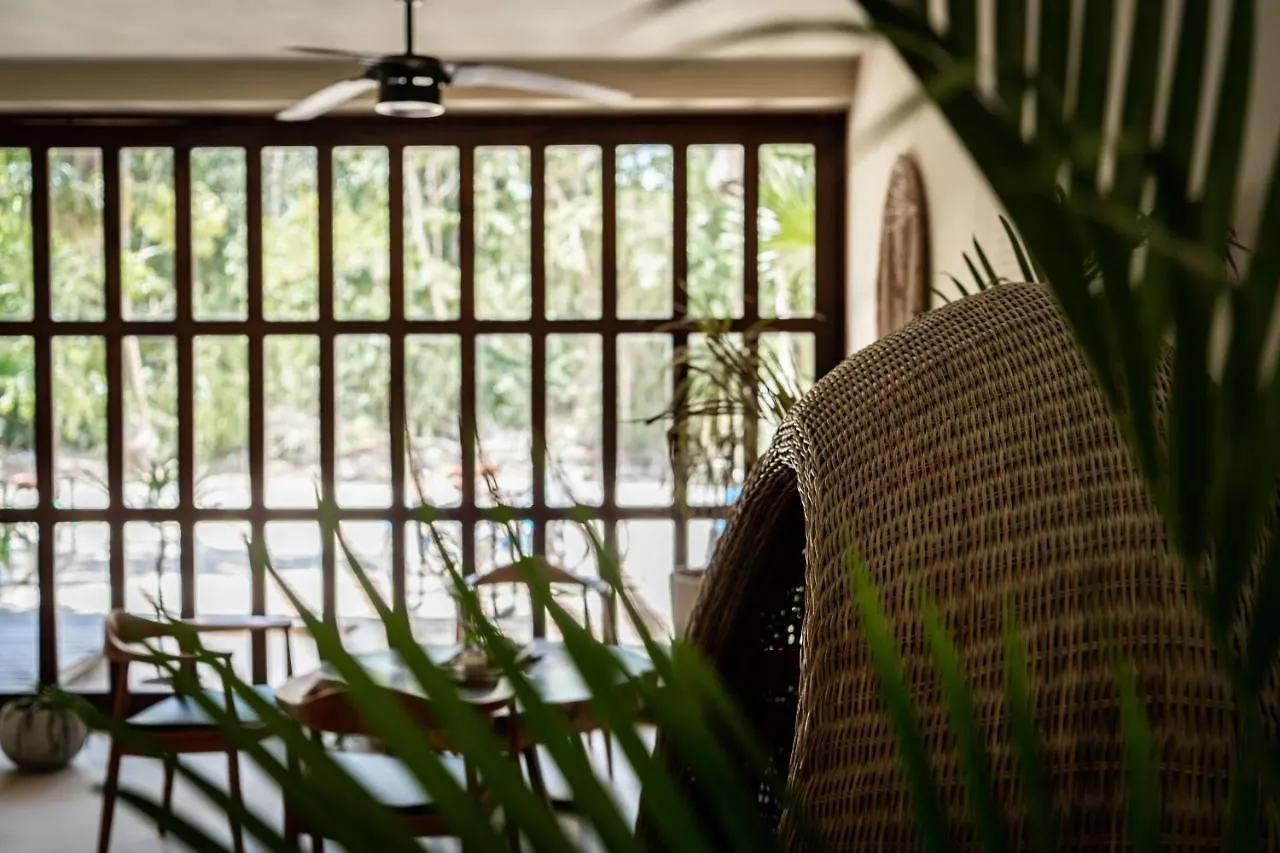 Apartmán Casai - Bohemian Eco-Loft In La Veleta, Tulum - 2 Pools, Gym