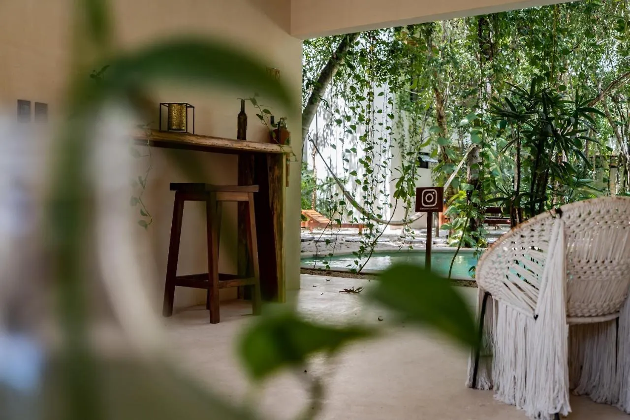 Apartmán Casai - Bohemian Eco-Loft In La Veleta, Tulum - 2 Pools, Gym