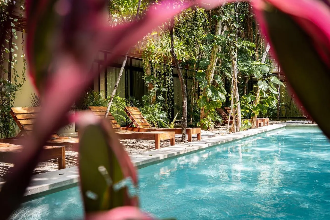 Apartmán Casai - Bohemian Eco-Loft In La Veleta, Tulum - 2 Pools, Gym 0*,  Mexiko