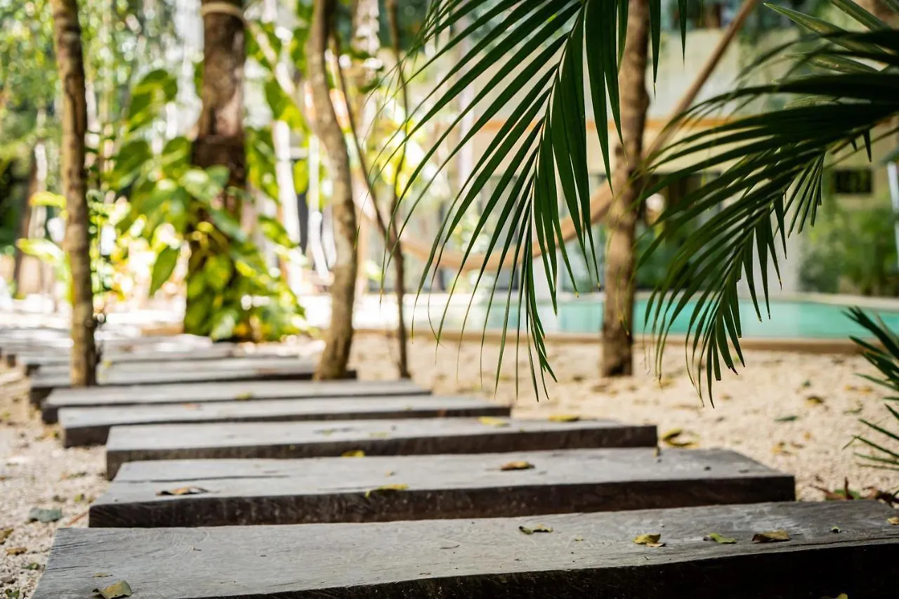 Apartmán Casai - Bohemian Eco-Loft In La Veleta, Tulum - 2 Pools, Gym