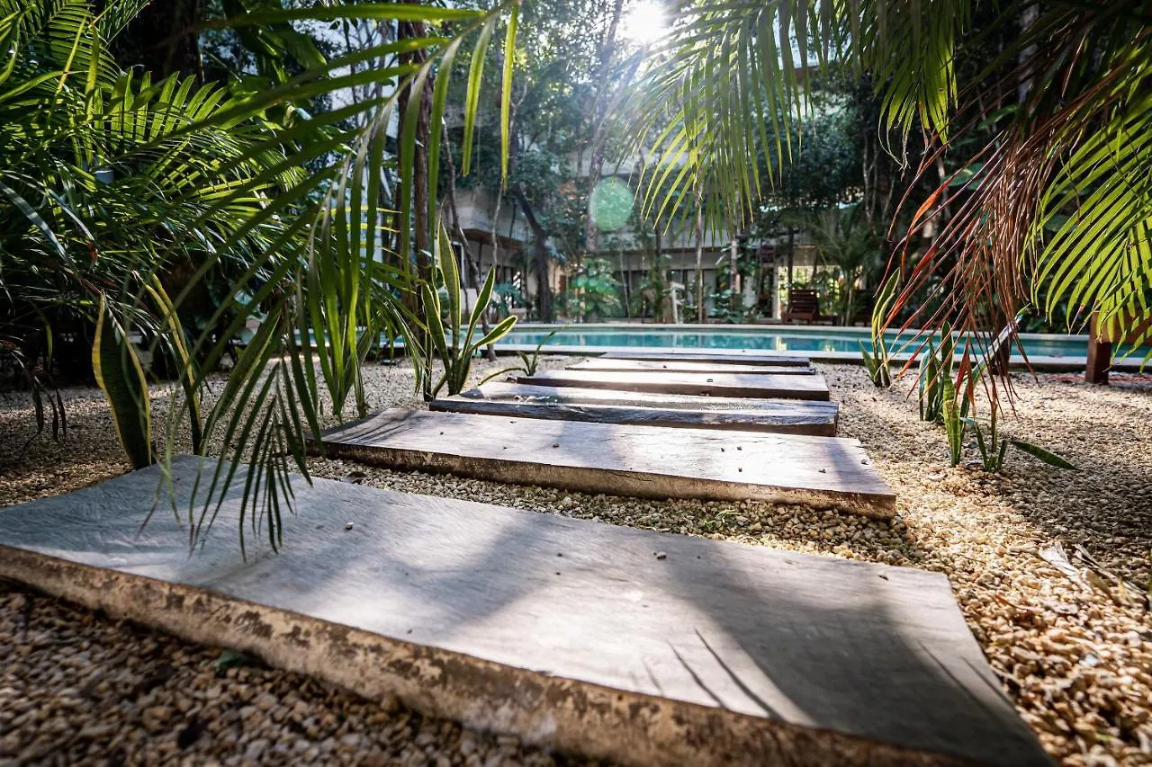 Apartmán Casai - Bohemian Eco-Loft In La Veleta, Tulum - 2 Pools, Gym