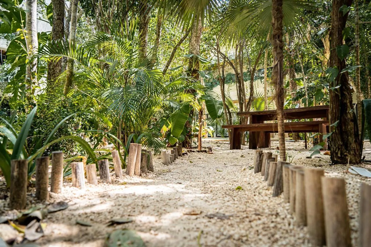 Apartmán Casai - Bohemian Eco-Loft In La Veleta, Tulum - 2 Pools, Gym Mexiko