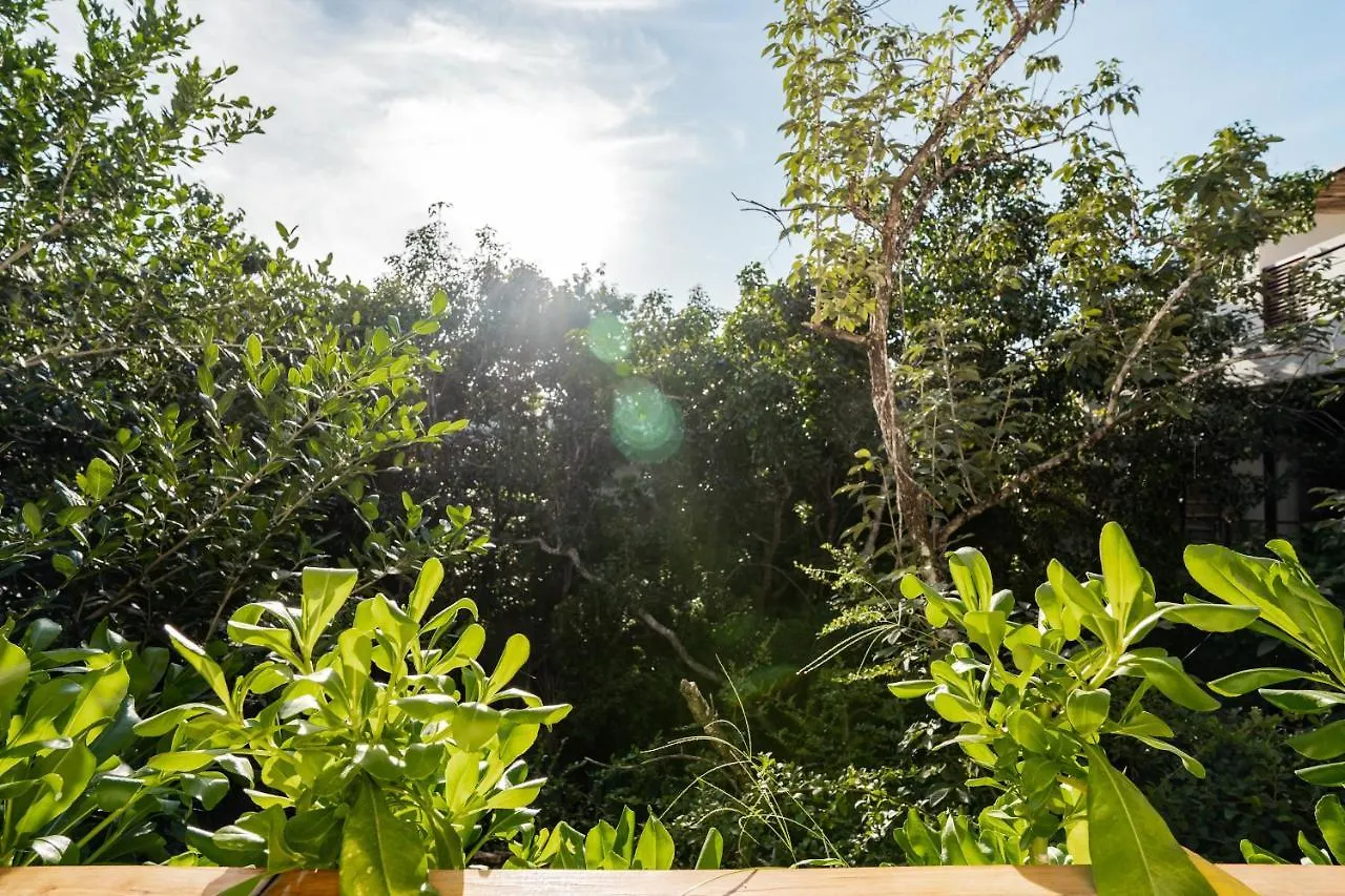 Apartmán Casai - Bohemian Eco-Loft In La Veleta, Tulum - 2 Pools, Gym