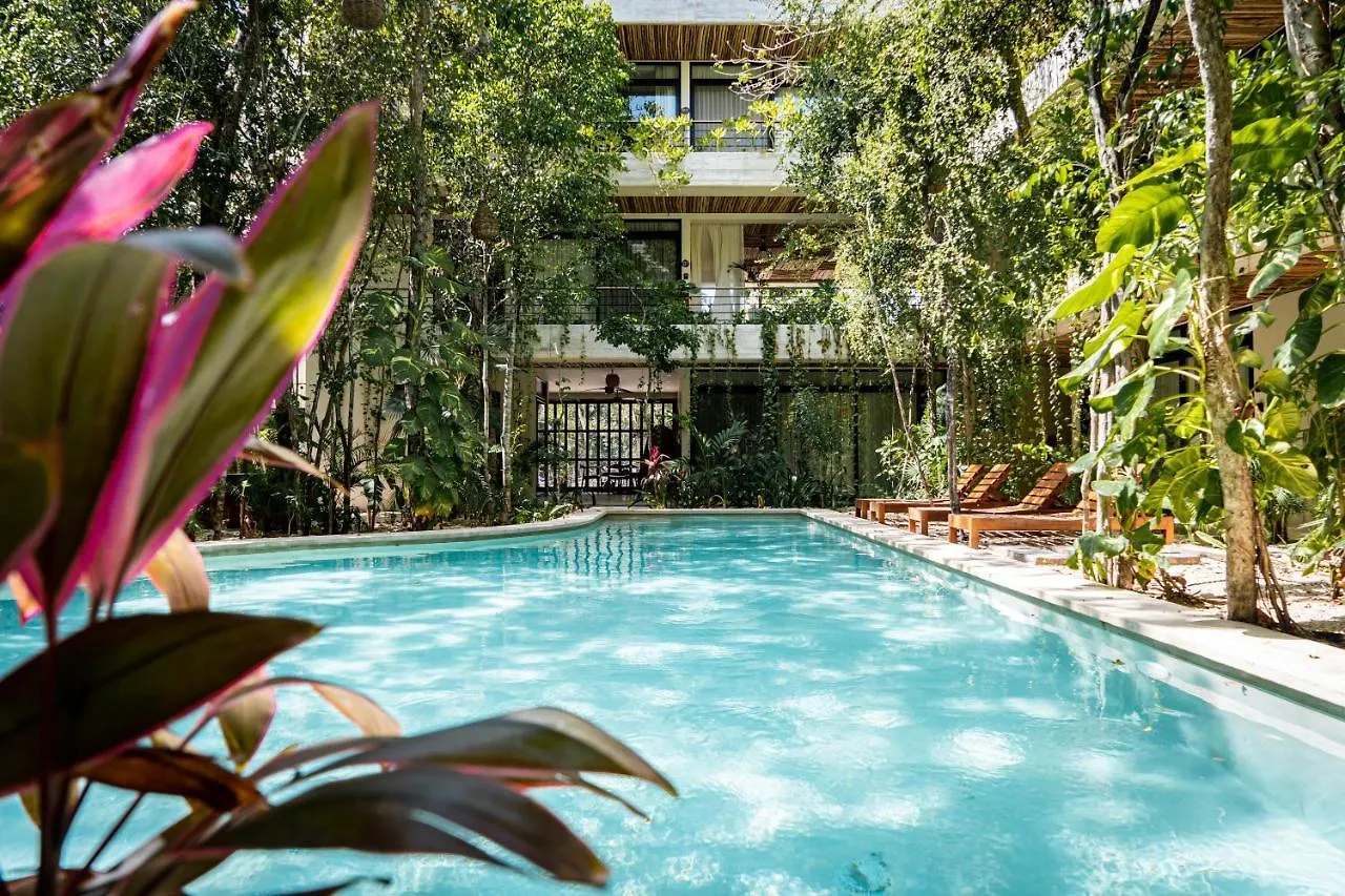 Apartmán Casai - Bohemian Eco-Loft In La Veleta, Tulum - 2 Pools, Gym Mexiko